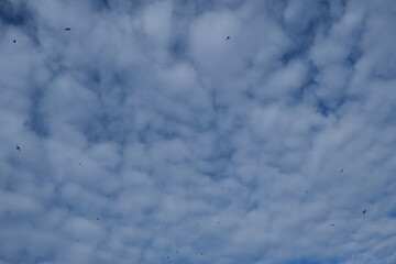 blue sky in a summer day with clouds