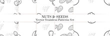 Nuts And Seeds Vector Pattern. Outline Hand Drawn Design