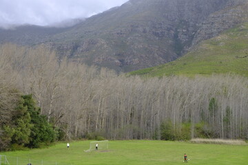 Wall Mural - Soccer and view