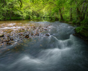 Wall Mural - River in summer with low flow that shows the boulders of the bed