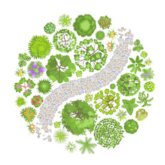 Vector illustration. Landscape design. Top view. Path, trees and flowers. View from above.