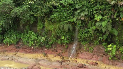 Wall Mural - Slow turning around a small waterfall in a tropical rainforest in South America 
