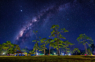 Wall Mural - milky way galaxy on pine forest on the phu kradung , thailand. long exposure photograph, with grain.