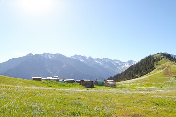 Mountain green hill valley village view. Mountain village landscape. Savsat/Artvin/Turkey