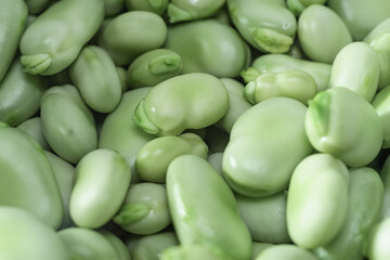 Poster - Beautiful fresh geen broad beans pattern background texture for design. Macro photography view.