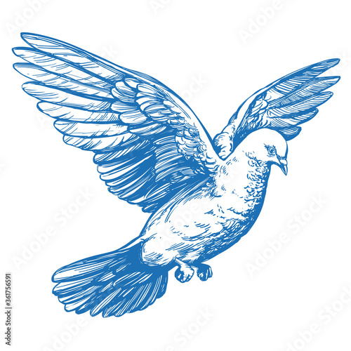 Fotografía dove bird is a symbol of peace and purity hand drawn vector illustration realist