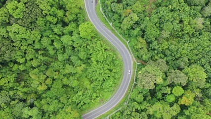 Wall Mural - Scenic road through forest with traffic driving. Aerial footage of cars and motorcycle on journey through countryside