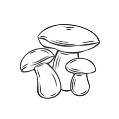 Wall Mural - Edible mushrooms boletus outline icon