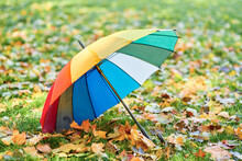 The Colorful Umbrella Among Autumnal Leaves
