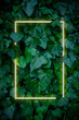 © Alina - Fresh green layout with glowing neon frame on ivy leaves background.Spring, summer copy space for banner, poster, card, sale advertisement, party invitation