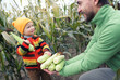 © Gargonia - Farmer father puts ripe cobs of corn in hands of his young son in cornfield. Family farming, harvest season or organic agricultural concept.