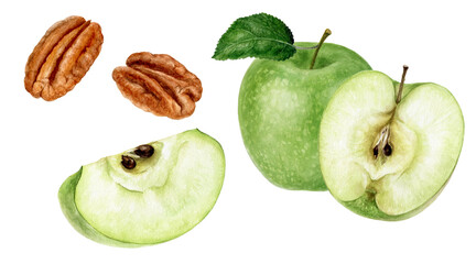 Wall Mural - Green apple pecan watercolor illustration isolated on white background