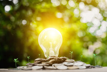The Idea Of ​​light Bulbs Showing The Beginning Of New Ideas. Improve Business Operations To Have The Highest Quality Development And Friendly To The Environment. To Save The World