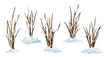 Drawn Bushes At The Winter With Snow On. Basis Clip Art On White Background