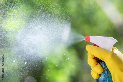 Fotomural Hand sprays a cleaning agent from a spray .