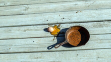 This Morning Breakfast Was A Disaster With A Rusty Old Cast Iron Skillet And A Dropped Egg On The Back Deck.