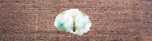The Image Of The Included Light Bulb On The Background Of A Broken Brick Wall And Blue Sky In The Sun. Burning Light Bulb As A Symbol Of Idea