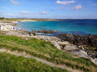 Wall Mural - A view of the Irish coast near Clifden in Ireland showing the green grass, rocks and the blue ocean