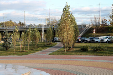 Wall Mural - bridge over the river