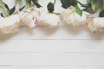 Wall Mural - border of pink peonies flowers on wooden background. flat lay, top view, copy space