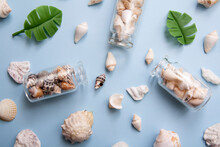 Flat Lay Seashells, Mini Bottles, Tropical Leaves. The Concept Of The Sea, Vacation, Travel