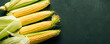 © yakovlevadaria - Fresh corn on the cob, agriculture, harvest