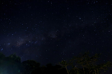 milky way stars