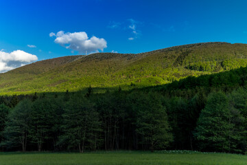 Wall Mural - Mountainous landscape and Radhost hill during a sunny day with clouds in the sky.