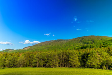 Wall Mural - Mountainous landscape and Radhost hill during a sunny day with clouds in the sky.