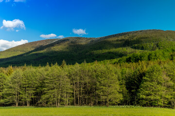 Wall Mural - Mountainous landscape and Radhost hill during a sunny day with clouds in the sky.