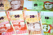 Peruvian Nuevo Soles money and currency
