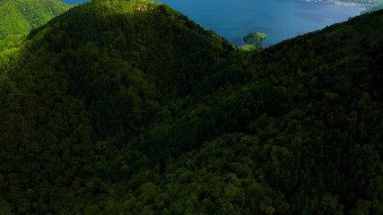 Canvas Print - 新緑の男体山と中禅寺湖空撮