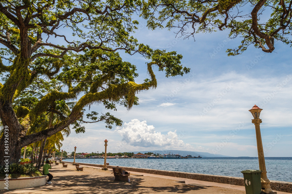 The Promenade Along Rizal Boulevard With Trees And Sea View City Of the-promenade-along-rizal-boulevard-with-trees-and-sea-view-city-of