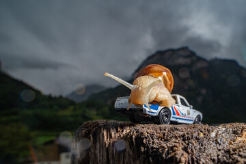 Wall Mural - SnaSnail on toy car mountain background cloudy sky Schnecke auf Auto il on toy car mountain background cloudy sky 