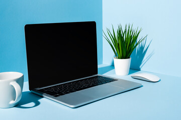 Canvas Print - modern laptop with computer mouse near green plant and mug on blue background