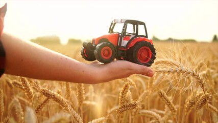 Sticker - Woman farmer holds a toy tractor on a background of a wheat field. Slow motion