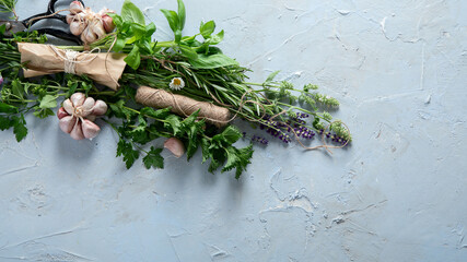 Wall Mural - Fresh green garden herbs