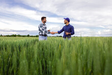 Two Farmers Making Agreement With Handshake In Green Wheat Field.