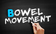 Bowel movement text on blackboard, concept background