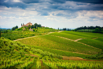 Chianti hills with vineyards and cypress. Tuscan Landscape between Siena and Florence. Italy