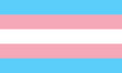 transgender flag symbol