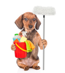 Poster - Dachshund puppy holds bucket with washing fluids and mop in it paw. Cleaning concept. isolated on white background