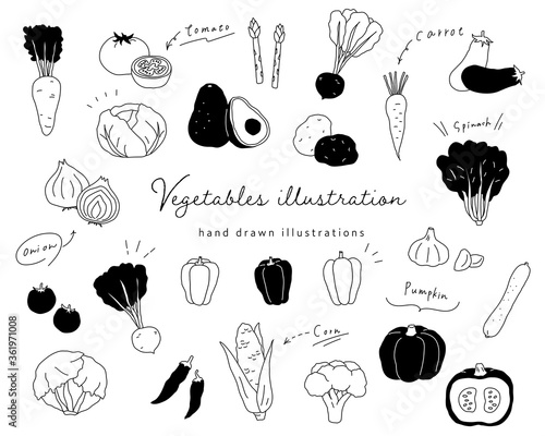 手書きの野菜のイラストのセット シンプル おしゃれ 線画 Aubergine Wall Mural Aubergi Yugoro 手書きの野菜のイラストのセット シンプル おしゃれ 線画 Aubergine Wall Mural Aubergi Yugoro