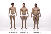 3D Rendering : Standing Male Body Type Illustration : Ectomorph (skinny Type), Mesomorph (muscular Type), Endomorph (heavy Weight Type),Front View