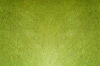 Light green symmetric background. Abstract wall texture element for design. Bright green. Wallpaper concept.