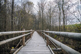 Fototapeta Pomosty - wooden path in the middle of the reeds
