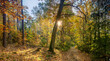jesień w lasach na Mazurach w północno-wschodniej Polsce