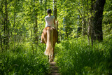 Woman horseback riding in forest