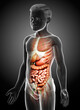 © pixdesign123 - 3d rendered medically accurate of the male anatomy