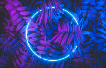 Leinwandbilder - Abstract neon frame backdrop with tropical leaves background. 3d render.